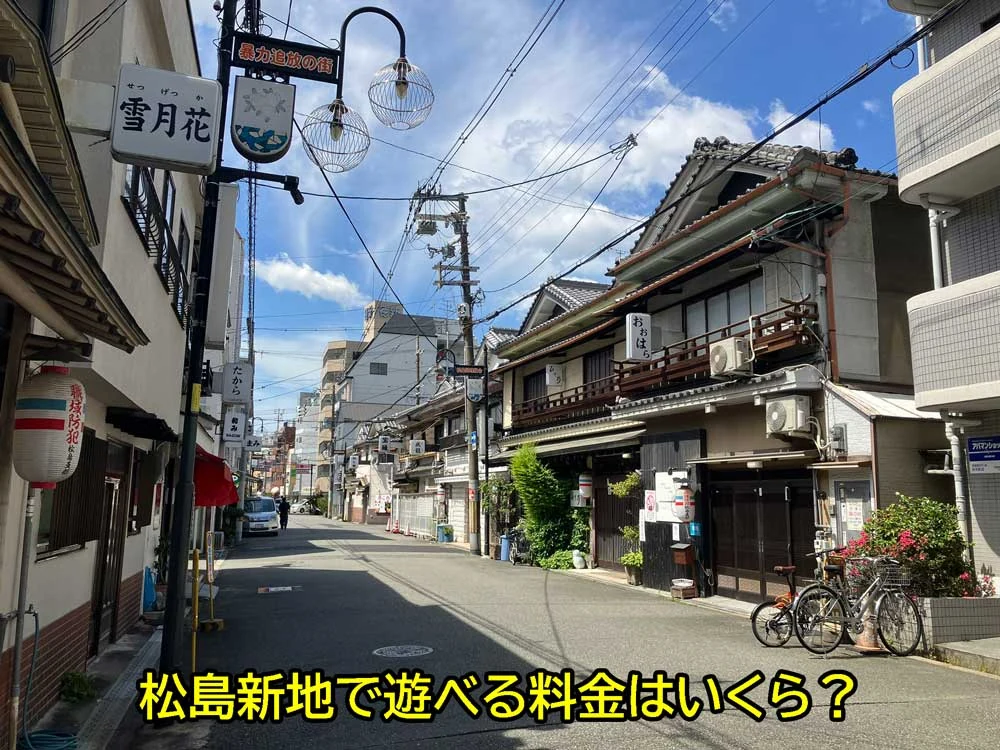 松島新地是什麼樣的地方?去過10多次的老司機,詳解費用、消費方式與服務內容!
