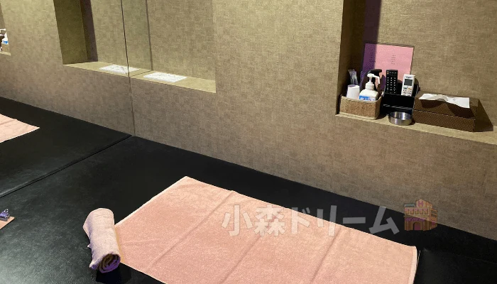 錦糸町安普里亭｜白金女生Pee醬近距離手淫服務體驗與評價